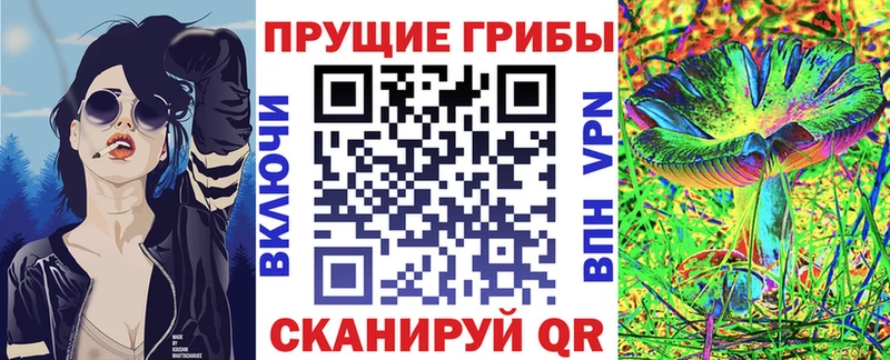 Галлюциногенные грибы GOLDEN TEACHER  где можно купить наркотик  Тимашёвск 